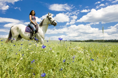 4 Helpful Tips for Your First Time Horseback Riding Horseback Riding Tips