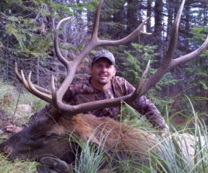 Don Corrigan's 2010 elk