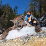 guided mountain lion hunts