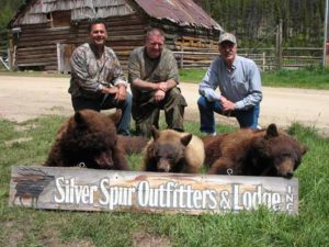 Guided bear hunting in Idaho from Silver Spur Lodge