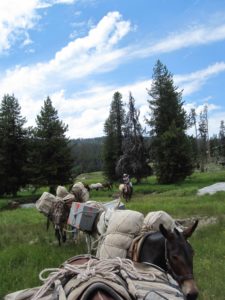 Hunting at Lodge in Idaho