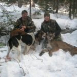 mountain lion hunts