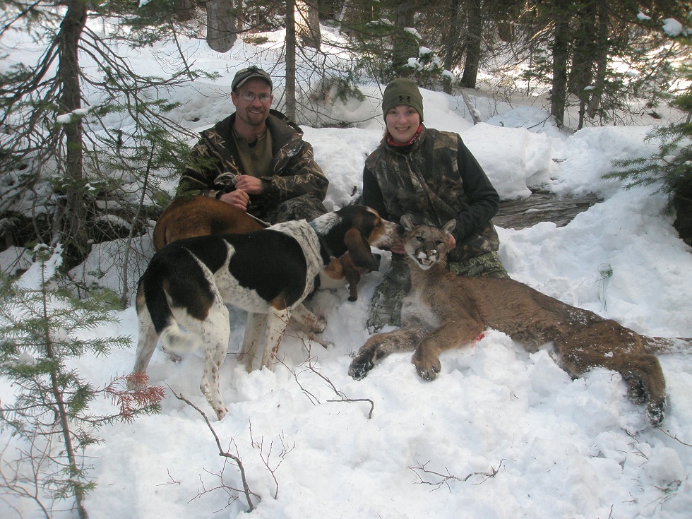 Mountain Lion Hunting in Idaho