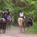 Helpful Tips for Your First Time Horseback Riding