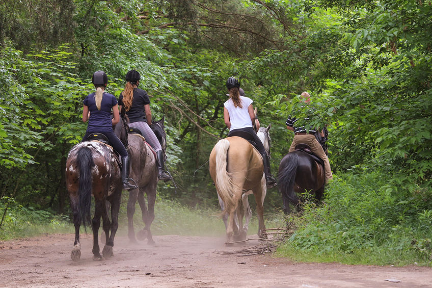 Horseback riding in Idaho