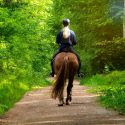 Try Horseback Riding this Summer in Idaho